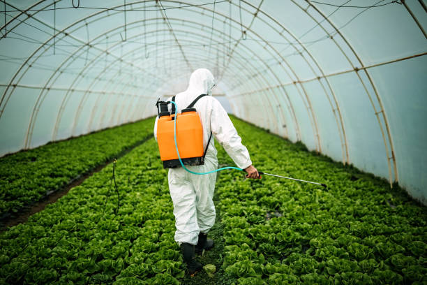 Pest Control for Restaurants in Levelland, TX