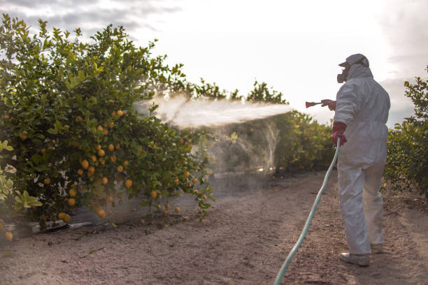 Levelland, TX Pest Control Company