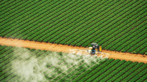 Professional Pest Control in Levelland, TX