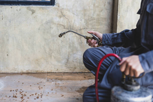 Best Pest Control Near Me  in Levelland, TX